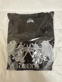 Item thumbnail for item 97504cf5-1b16-49df-975a-b27a4e2c9fbb