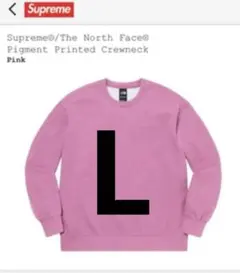 Supreme The North Face Crewneck 2021sw