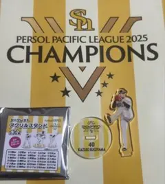 Kiyo様 リクエスト 2点 まとめ商品