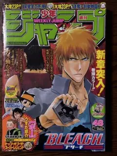 未読・シュリンク付き】週刊少年ジャンプ 2010年48号 ブリーチ表紙