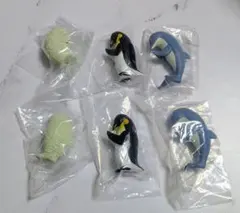 ガチャ　合掌　水拝　ゴマフアザラシ　コウテイペンギン　イルカ