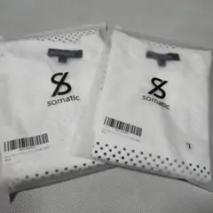 Item thumbnail for item 65f3f232-3a2f-429d-a5b4-c02cc8498c72