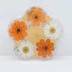 NO.247○固まるハーバリウム食品OK○お花のサークルトレイ/コースター
