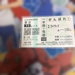 ヴィクトリアマイル　ライラック、マスクトディーヴァ 応援馬券セット！