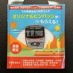 鉄道の日　鉄道車両　オリジナルピンバッジ 首都圏新都市鉄道「TX3000系」