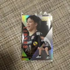 山本智大 リベロ トレーディングカード