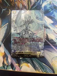 2026年最新】ブラグドマイヤーの人気アイテム - メルカリ