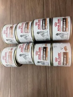 Royal Canin 消化器サポート 360g 1缶100g 9缶セット - メルカリ