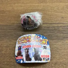 アイドルホースミニコレクション　41 有馬記念　レガレイラ