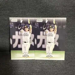 Item thumbnail for item 8b1a6e77-f6a0-483b-a01c-9a3913f17bd0