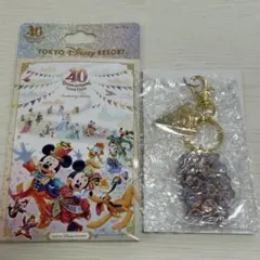 ディズニー 40周年 グランドフィナーレ キーチェーン チップとデールのサムネイル