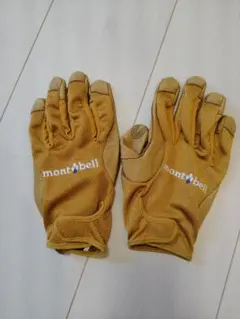 Item thumbnail for item 8fe2a34a-a579-4d56-9a7d-9000f3c30e2e