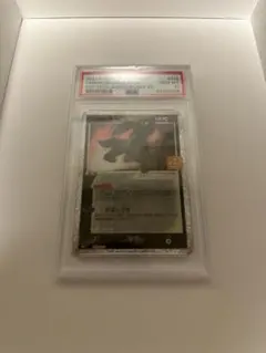 【PSA10】ブラッキー　25th プロモ ポケカ