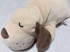 MINISOlife 犬 ぬいぐるみ