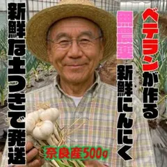 ◇無農薬 にんにく 奈良県産 500g 新鮮 おいしい 安心 安全 農家直送24のサムネイル