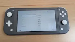 【完動品】　Nintendo Switch Lite グレー 本体