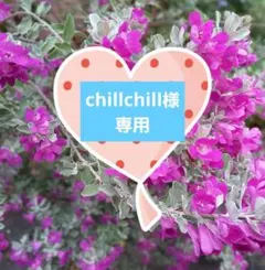 chillchill様 リクエスト 3点 まとめ商品