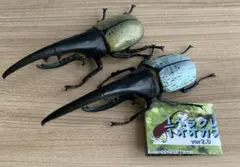 2025年最新】ヘラクレスブルーの人気アイテム - メルカリ