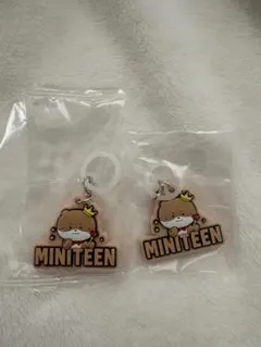 t*r様 SEVENTEEN MINITEEN DINO ディノ チャンダリ ガ