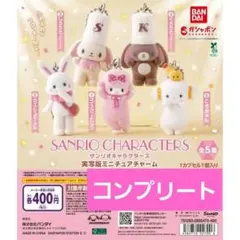 산리오 キャラクターズ 実写版 ミニチュアチャーム