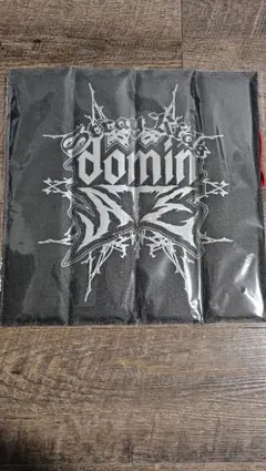 straykids dominATE アプグレ クッション エコパ スキズ