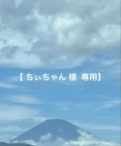 【ちぃちゃん様 専用】
