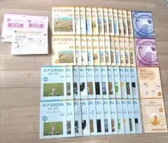 Z会エブリスタディ3年　一年分 Z会小学生コース3年生を徹底解説】高みを目指すならハイレベルが