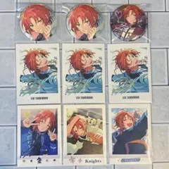 あんスタ　月永レオ　テーマスカウト　バラエティ缶バッジ　ぱしゃっつ　ぱしゃこれ