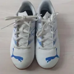 PUMA フットサルシューズ インドア 21cm