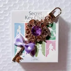 ラプンツェル ディズニーストア シークレットキーチェーン 【匿名配送】