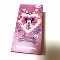 ディズニーパルパルーザ　ミニーのファンダーラン　ワッペンアクセサリー　全8種 ディズニーパルパルーザ ミニーのファンダーランド ワッペン