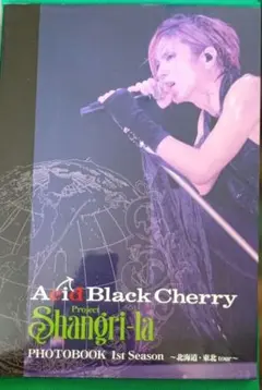 2026年最新】Acid Black Cherry写真集の人気アイテム - メルカリ