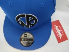 日本ハムファイターズ レトロ キャップ 応援グッズ 昭和 後楽園 木田