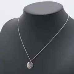 激レア✨クリスチャンディオール ChirstianDior ネックレス シルバーのサムネイル