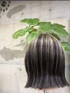 リオイ※プロフお読み下さい！※ 様専用＊アッシュゴールド＊トップエクステ