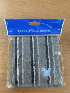 東京ディズニーリゾート ミッキー ミニタオル