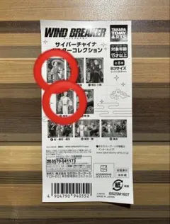 WINDBREAKERサイバーチャイナポスターコレクションB3桜遥梅宮一 傷あり