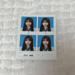 seju 証明写真 向井怜衣