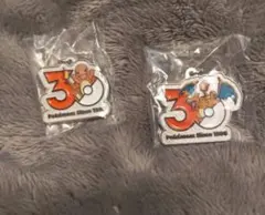 ポケモン 30周年メタルチャームマスコット2個セット(ヒトカゲ、リザードン)