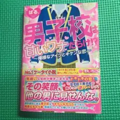 男子校は甘いワナだらけ!? : 俺様なアイツとキケンな恋