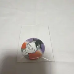 鬼滅の刃 子供時代 缶バッジ プチ 不死川玄弥 幼少期 コレクション缶バッジ