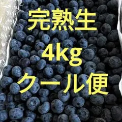 茜書房の冷凍ブルーベリー 4kg 無農薬無選別 - メルカリ