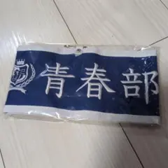 Item thumbnail for item 12b45cad-1baf-484e-bcac-b9529fed5d00