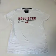 hollister Tシャツ