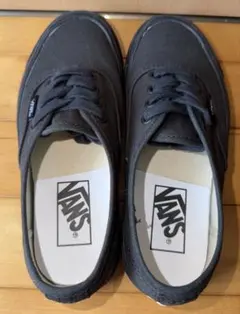 VANS AUTHENTIC 44 DX ANAHEIM 22.0cm
