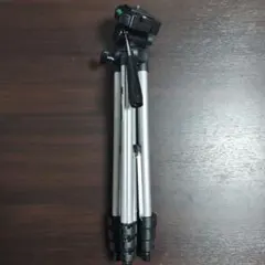 Item thumbnail for item 040e8504-c4a0-400e-b4df-fb2a43537953