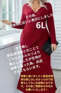 大きいサイズレディース ツーピース