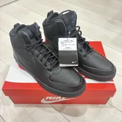 Item thumbnail for item 92ef1ce1-d8ad-4cf6-acb9-fc17c9883bd6