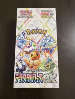 2025年最新】テラスタルフェス boxの人気アイテム - メルカリ