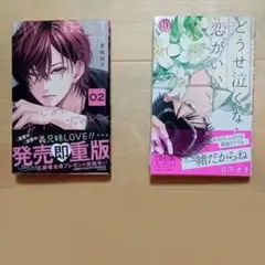 Item thumbnail for item 3572c4db-e50a-4c2f-bd16-083a2109c992